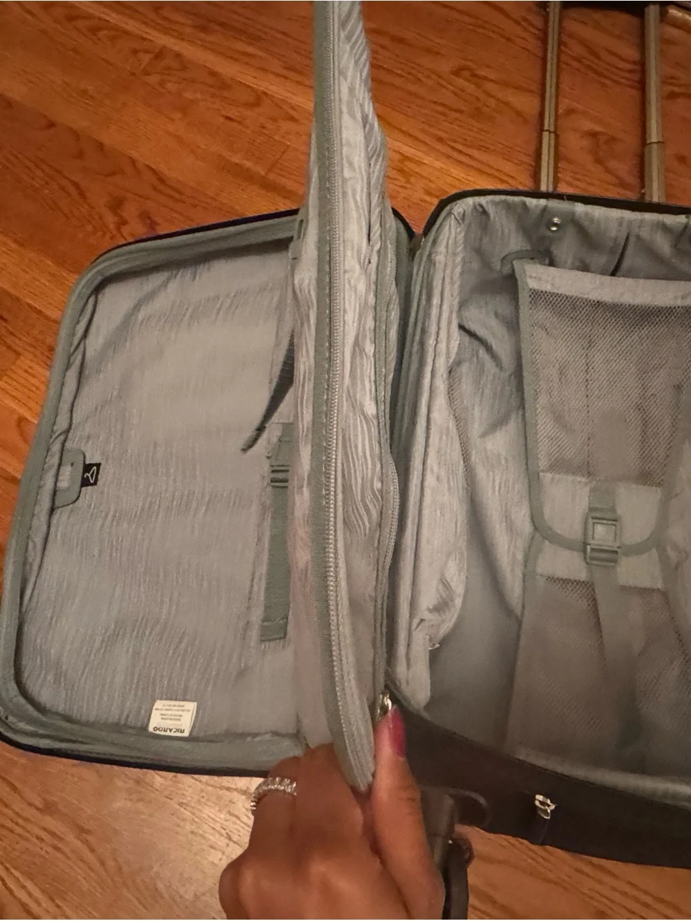 Ricardo Black Carry-On Spinner Suitcase